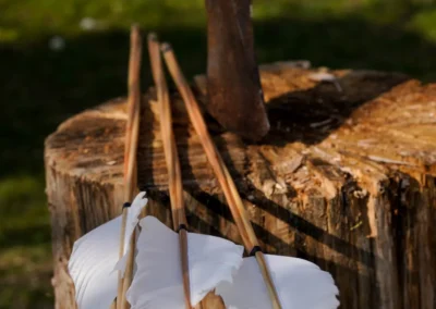 strzały na pniu drewna