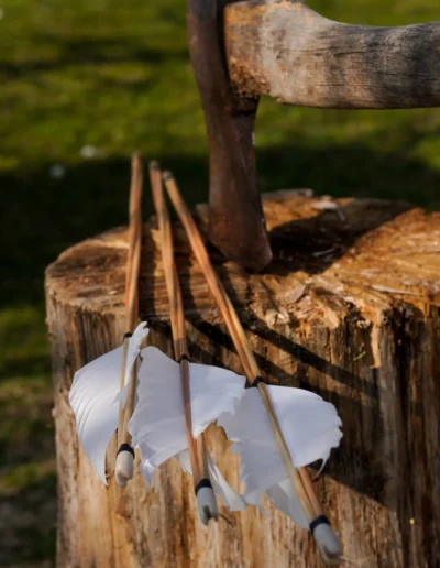 strzały na pniu drewna